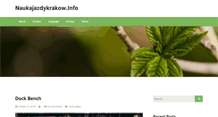 Desktop Screenshot of naukajazdykrakow.info